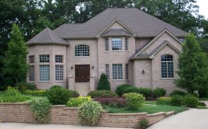 professional landscape design