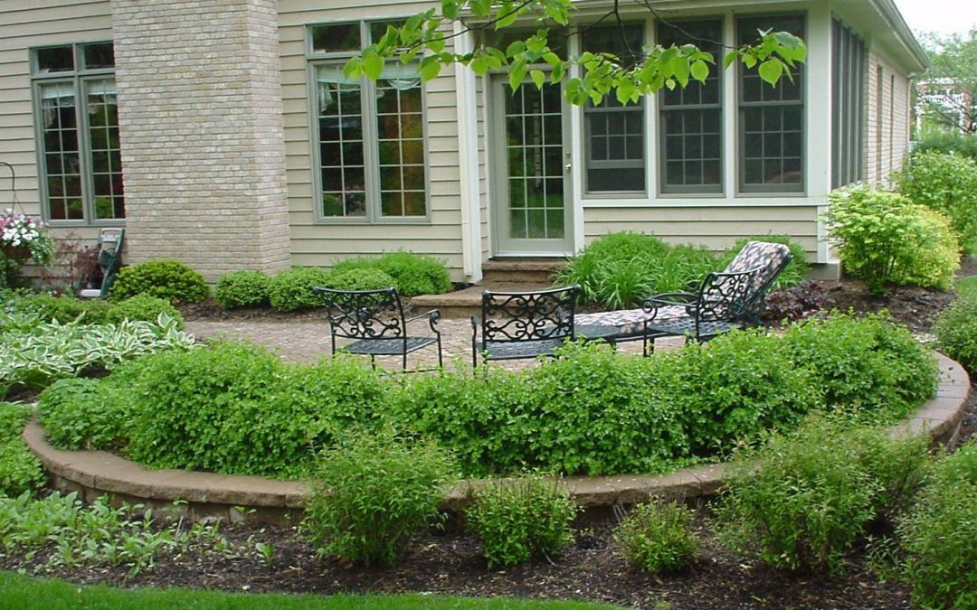 Signs Your Trees and Shrubs Need Attention From a Professional