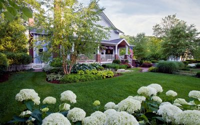 Paver Patios vs Concrete Patios Which Is Right for Your Property