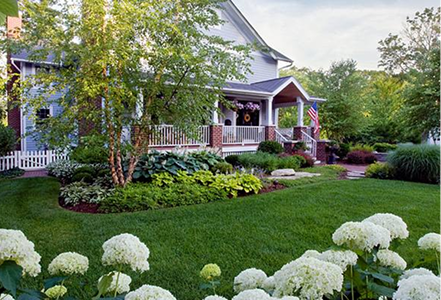 Wobrock's Design & Landscape | Home DEV Wobrock's Design & Landscape | Home DEV